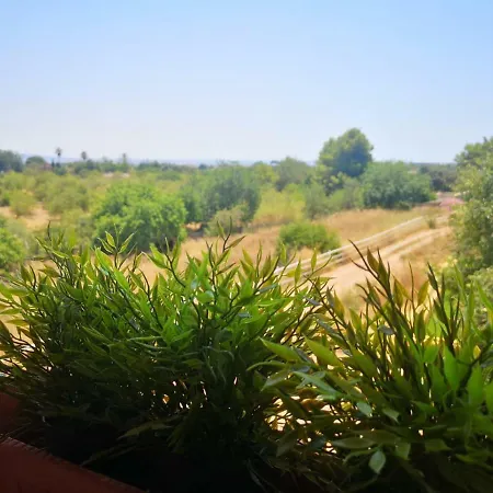 Mallorca Villa Palma de Mallorca